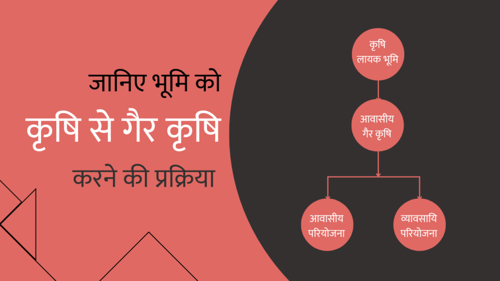How to get Non Agriculture Land order